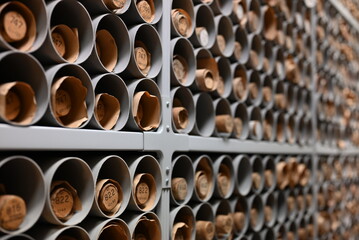 Old document scrolls in archive storage 