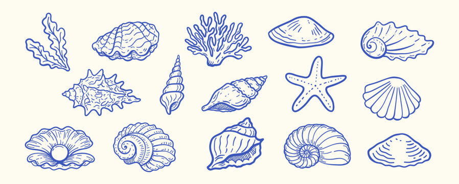 Hand-drawn marine illustration set with seashells, starfish and coral in blue line art style, minimalist ocean elements collection isolated on white background for logo, pattern or stationery design