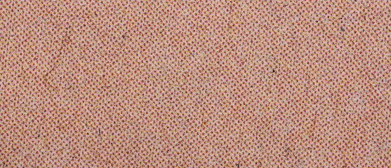 Fototapeta premium CMYK Halftone Dots Ink Print on Paper Texture Background Macro