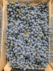 Fresh blue grapes. Market stalls are filled with ripe fruits