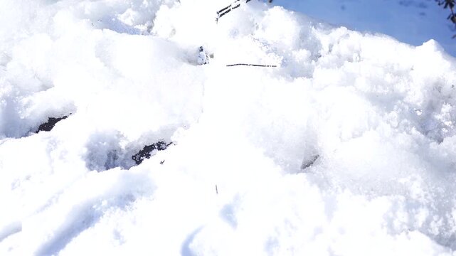Snow on the top of a Residential Roof