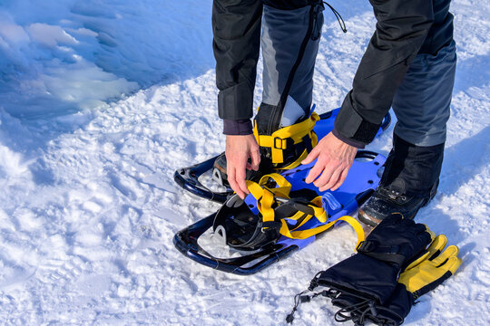 Close up of hands adjusting yellow straps on blue snowshoes resting on a snowy surface next to black and yellow gloves.