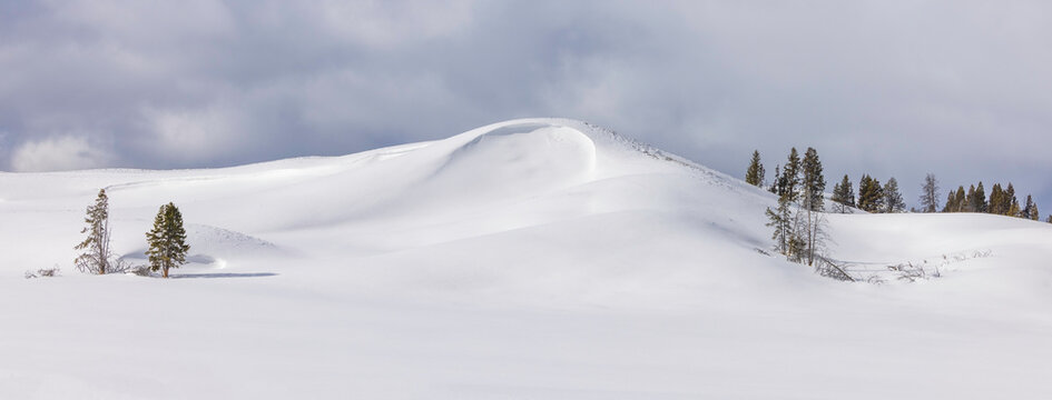 winter landscape with snow