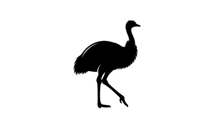 Silhouette of an Emu Bird Walking.