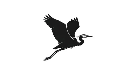 Fototapeta premium Silhouette of a Great Blue Heron in Flight Against White Background.
