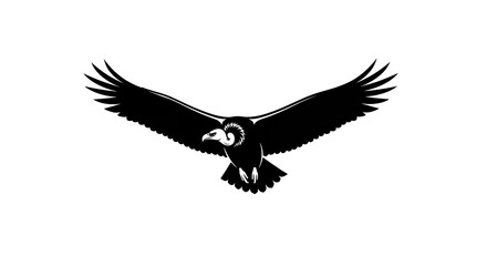 Obraz premium Silhouette of a Vulture in Flight with Wings Spread Wide.