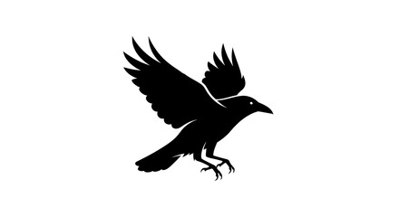 Fototapeta premium Silhouette of a Crow in Flight Against a White Background.