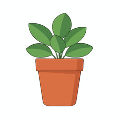 Obraz premium Healthy Green Indoor Plant in a Modern Pot for Home Decor