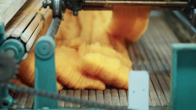 Orange dough being conveyed and cut on a food processing production line in a factory