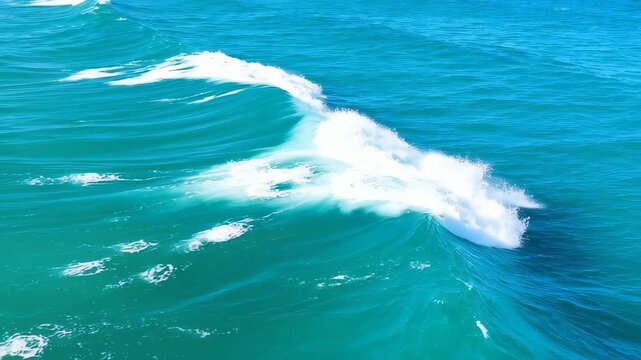 Ocean's Embrace: Witness the raw power and beauty of the ocean as a wave crashes, its crest forming a dynamic arc against the clear waters.