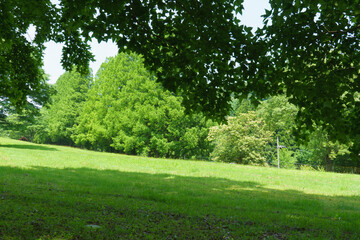 晴れの日の広場