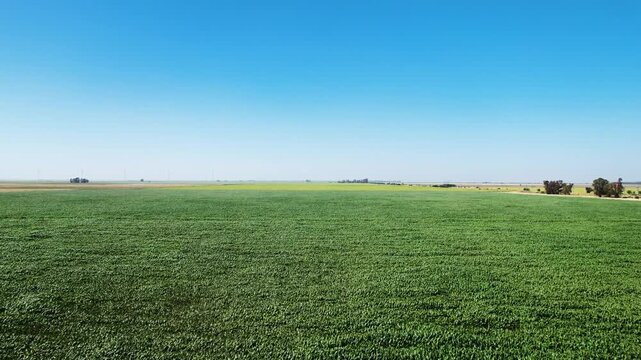 Farmland in La Pampa Argentina Drone 4K