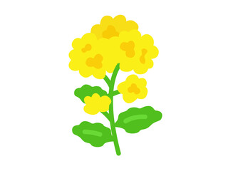 菜の花のアイコンのイラスト