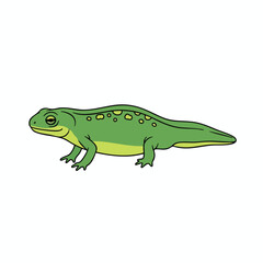 Fototapeta premium Cartoon Style Green Gecko Reptile Illustration for Educational or Decorative Use