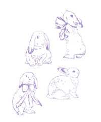 Obraz premium Bunny with ribbons. sketch set. Vintage style engraved pencil drawings of Easter rabbits or hare. Doodle illustration. Easter bunny with ribbons. Cute fluffy animals sitting and standing. Hand drawn