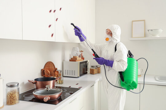 Female pest control specialist disinfecting cupboard for cockroaches in kitchen