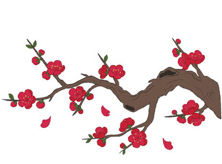 A beautiful of a blooming cherry blossom branch with soft pink petals and fresh buds.