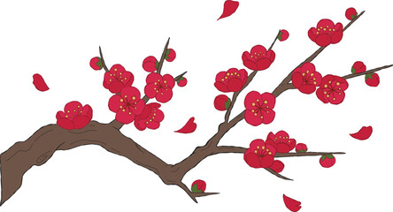 Elegant blossom branch illustration featuring delicate spring flowers and botanical details.