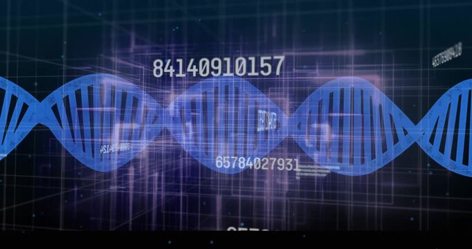 Numeric streams updating, activating blue double-helix waving while wireframes sliding for scanning