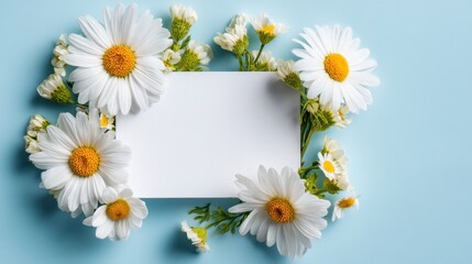 Obraz premium Fresh White Daisies Framing Blank Card on Soft Blue Background for Invitations, Celebrations, Announcements, and Personal Messages