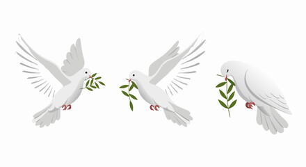Fototapeta premium Three white doves flying gracefully while each bird carries a single green olive branch symbol for peace