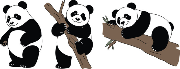 Cute panda bears vector illustration showing playful panda climbing tree branch and sleeping on wood, adorable animal cartoon design for kids © Sarsoti