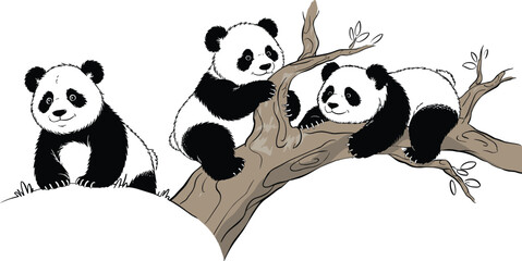 Cute panda bears playing on tree branch, adorable black and white animal illustration, wildlife nature vector, cartoon panda family scene © Sarsoti
