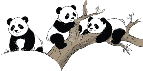 Fotobehang Zoo Cute panda bears playing on tree branch, adorable black and white animal illustration, wildlife nature vector, cartoon panda family scene  © Sarsoti