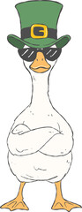 A cool and cute goose illustration celebrating St. Patrick's Day.