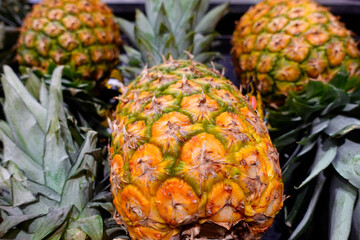 Pineapples on the shelf in grocery store