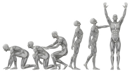 Obraz premium Journey from struggle to strength, depicted through a series of human figure illustrations, culminating in a pose of triumph and power.