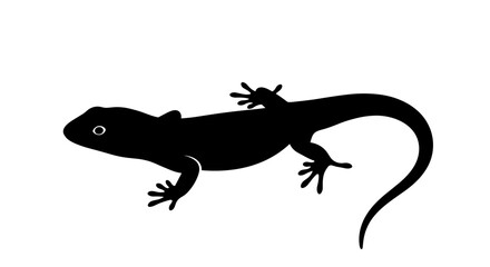 Obraz premium Black Lizard Silhouette Profile View Animal.