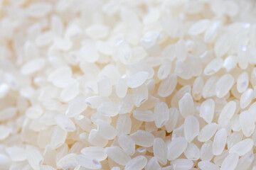 白い米粒の質感