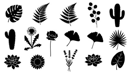 A Comprehensive Collection of Diverse Botanical Silhouettes and Stylized Plant Icons for Creative Projects