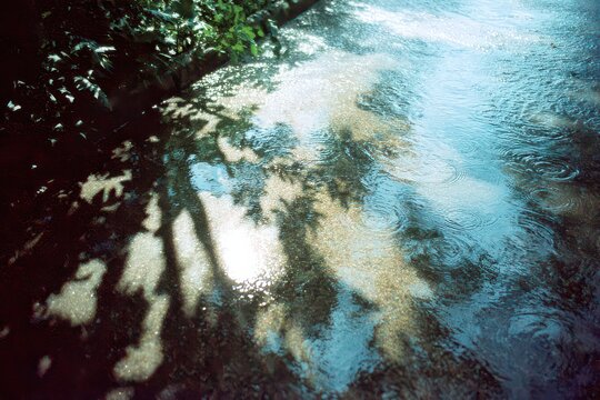 Reflective Wet Asphalt Surface with Green Foliage and Sky Reflection Casting Shadows in an Outdoor Environment under Bright Sunlight
