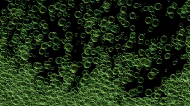 Green bubbles float and drift across a black background