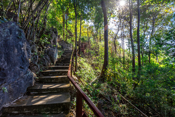 Panoramic nature background (mountains, sea, trees, twilight lights in the sky, waterfront communities), naturally blurred through the wind, seen on tourist spots or scenic spots