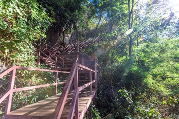 Panoramic nature background (mountains, sea, trees, twilight lights in the sky, waterfront communities), naturally blurred through the wind, seen on tourist spots or scenic spots