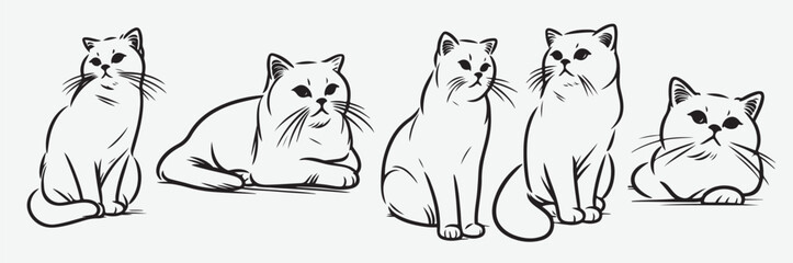 Obraz premium charming cat line art series minimalist and expressive poses