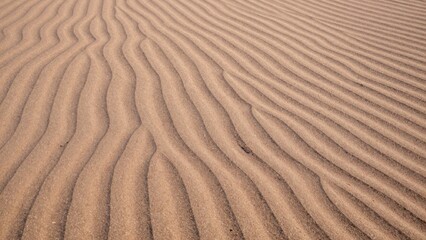 Fototapeta premium Vast expanse sand dunes sahara desert captured low-angle perspective highlighting intricate rippled patterns texture clearly