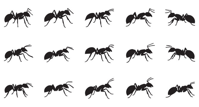 ant silhouettes collection. various ant set vector icons on white background