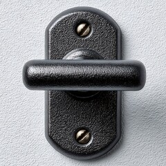 Black Metal Door Handle with Brass Screws on Textured Wall hardware dark