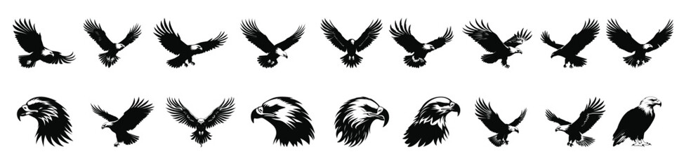 Obraz premium bald eagle silhouette clipart bundle