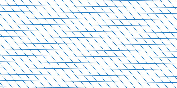 Net texture pattern on white background. Net texture pattern for backdrop and wallpaper. Realistic net pattern with black squares. Geometric background