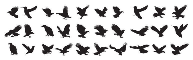 Fototapeta premium eagle silhouette on white background 