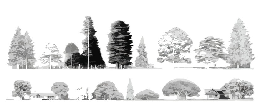 Zestaw szczeg&oacute;łowych szkic&oacute;w drzew w stylu minimalistycznym, idealny do wizualizacji architektonicznych, zawierający przezroczysty element i r&oacute;żne formy.