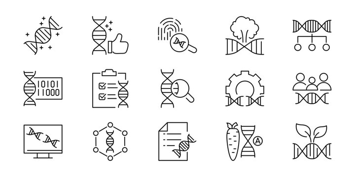 Streamlined vector line icons for genetic research, biotechnology, and DNA science, featuring concepts of engineering, analysis, and innovation