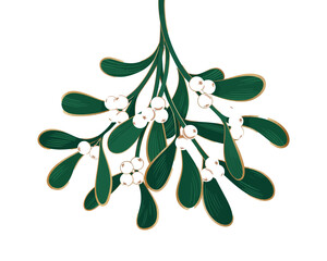 A festive mistletoe branch with green leaves and white berries on a white background for Christmas decoration