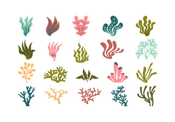 Underwater Leaf Element © Fahmi