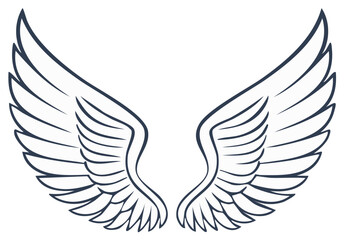 Obraz premium Line art illustration of spread wings design element, angel or bird concept